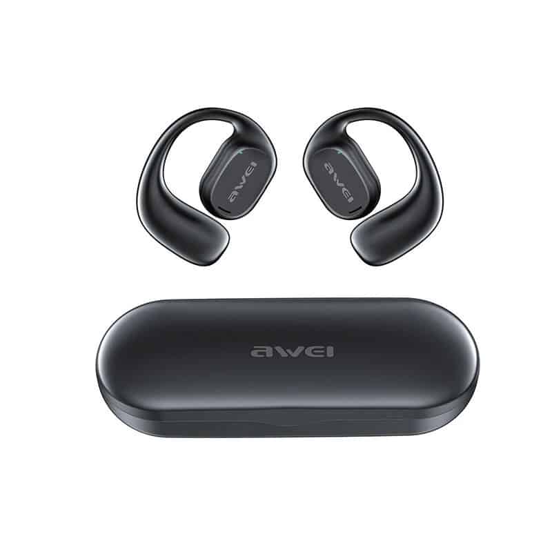 Awei T69 Earphones